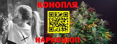 Альфа ПВП Пушкино