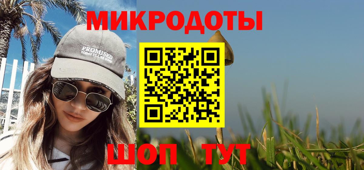 Родники  Галлюциногенные грибы Psilocybe  Вход с VPN 